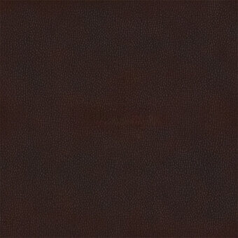 Dark brown leather texture with granular, mottled pattern and consistent small bumps; matte finish, soft appearance, carezza 230 sample.
